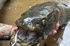 IMG-20250315-WA0007